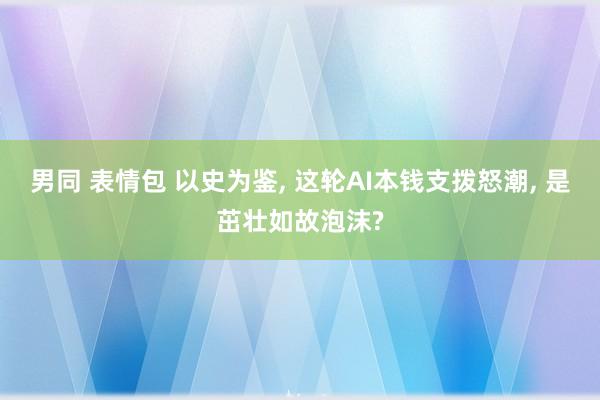 男同 表情包 以史为鉴， 这轮AI本钱支拨怒潮， 是茁壮如故泡沫?