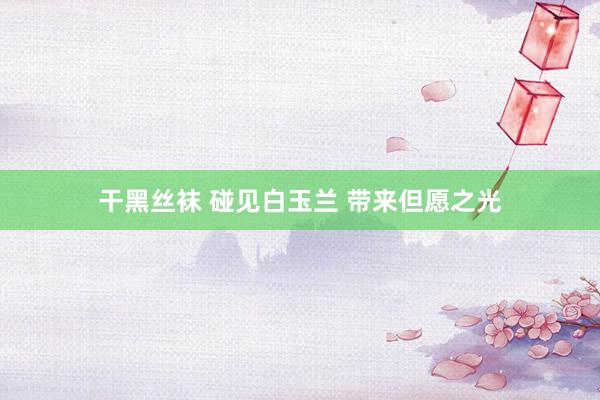 干黑丝袜 碰见白玉兰 带来但愿之光