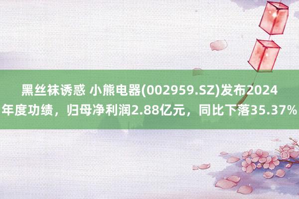 黑丝袜诱惑 小熊电器(002959.SZ)发布2024年度功绩，归母净利润2.88亿元，同比下落35.37%