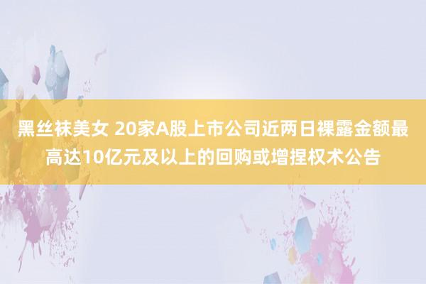 黑丝袜美女 20家A股上市公司近两日裸露金额最高达10亿元及以上的回购或增捏权术公告