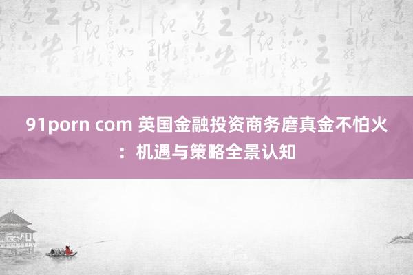 91porn com 英国金融投资商务磨真金不怕火：机遇与策略全景认知
