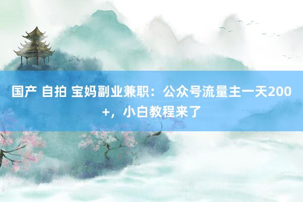 国产 自拍 宝妈副业兼职：公众号流量主一天200+，小白教程来了