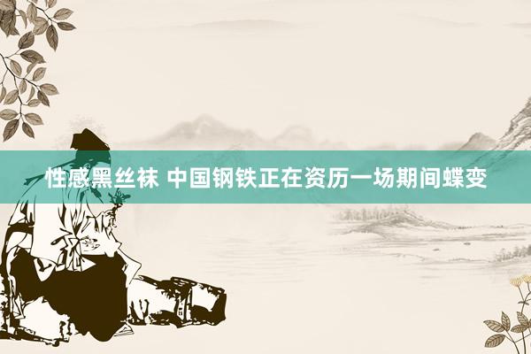 性感黑丝袜 中国钢铁正在资历一场期间蝶变