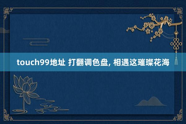 touch99地址 打翻调色盘， 相遇这璀璨花海