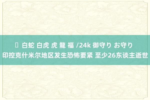 ✨白蛇 白虎 虎 龍 福 /24k 御守り お守り 印控克什米尔地区发生恐怖要紧 至少26东谈主逝世
