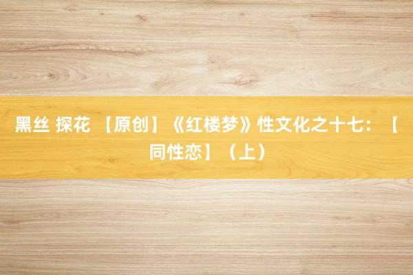 黑丝 探花 【原创】《红楼梦》性文化之十七：【同性恋】（上）