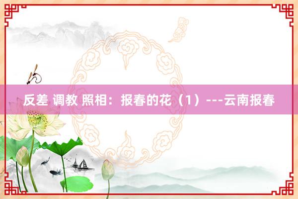 反差 调教 照相：报春的花（1）---云南报春