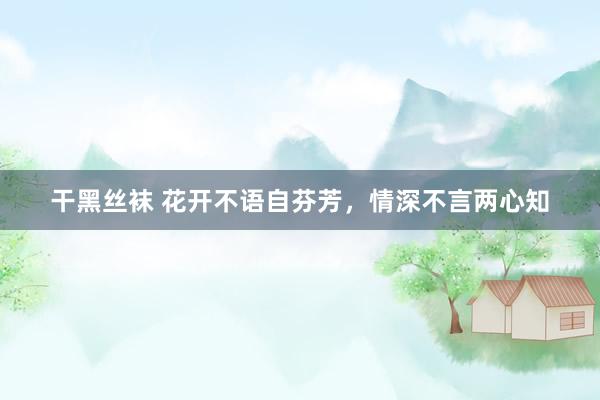 干黑丝袜 花开不语自芬芳，情深不言两心知