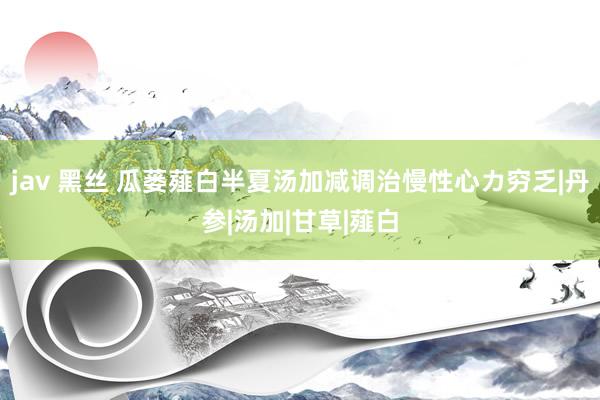 jav 黑丝 瓜蒌薤白半夏汤加减调治慢性心カ穷乏|丹参|汤加|甘草|薤白