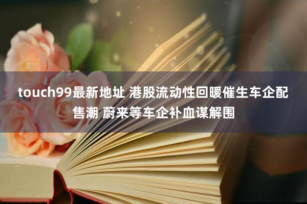 touch99最新地址 港股流动性回暖催生车企配售潮 蔚来等车企补血谋解围