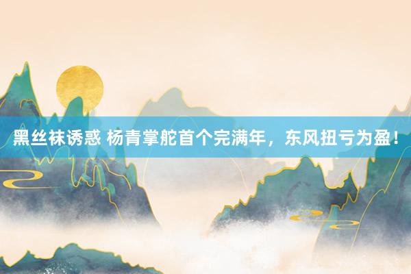 黑丝袜诱惑 杨青掌舵首个完满年，东风扭亏为盈！