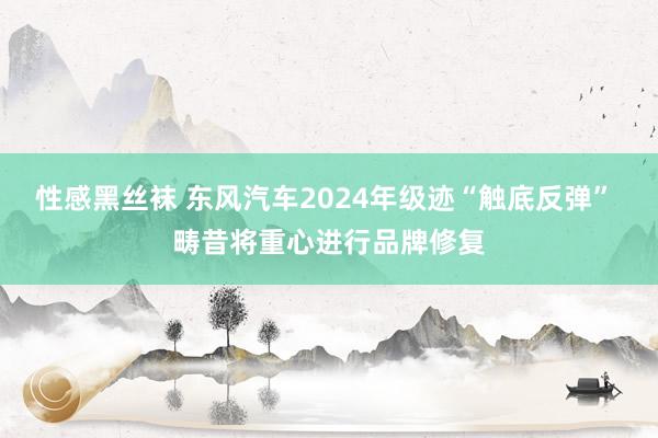 性感黑丝袜 东风汽车2024年级迹“触底反弹” 畴昔将重心进行品牌修复